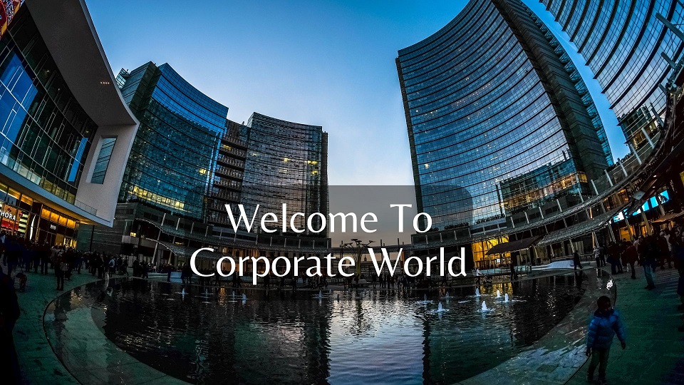 Introduction To Corporate World Introduction To Corporate World