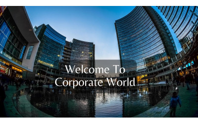 Introduction To Corporate World